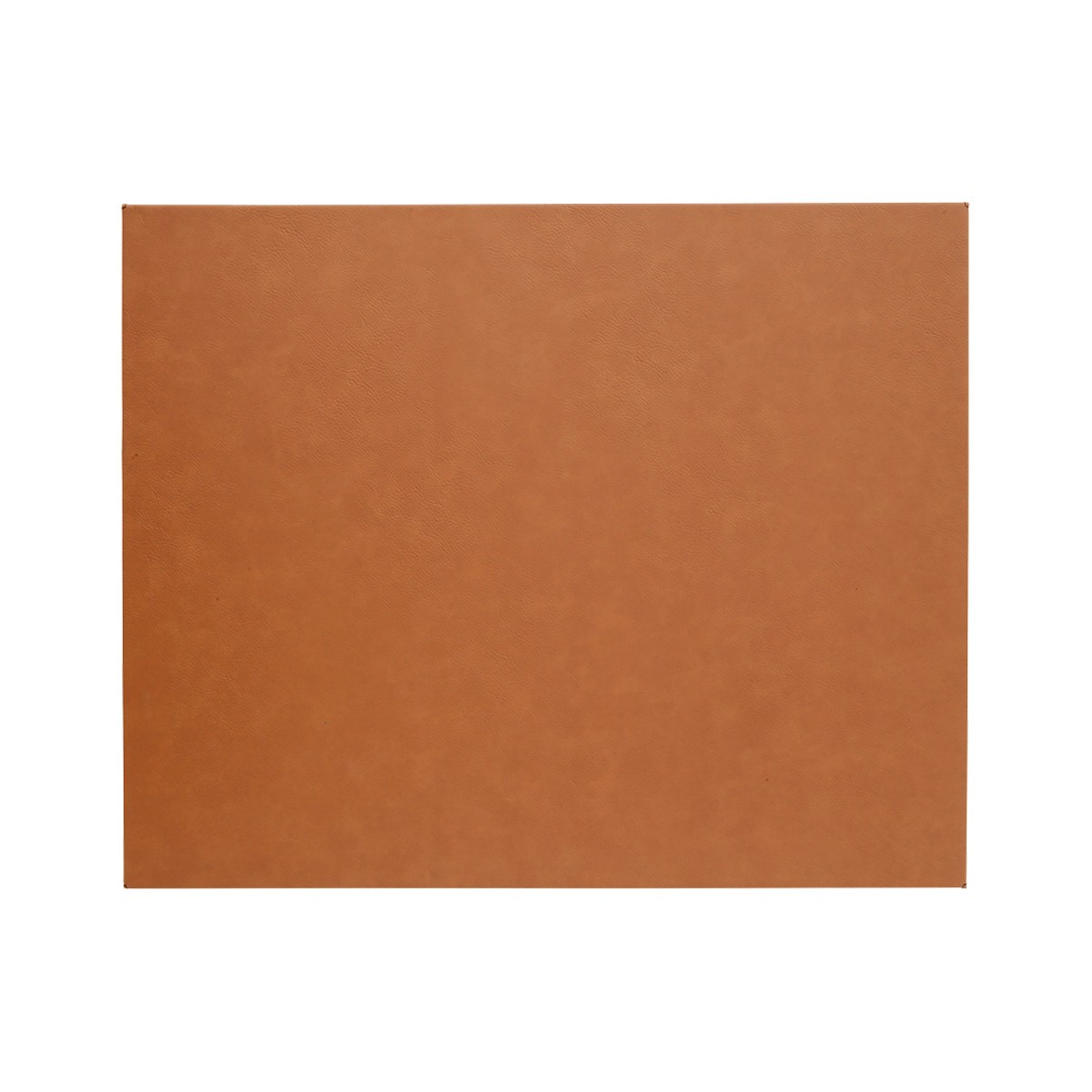 16" x 20" Rawhide Leatherette Wall Decor 3
