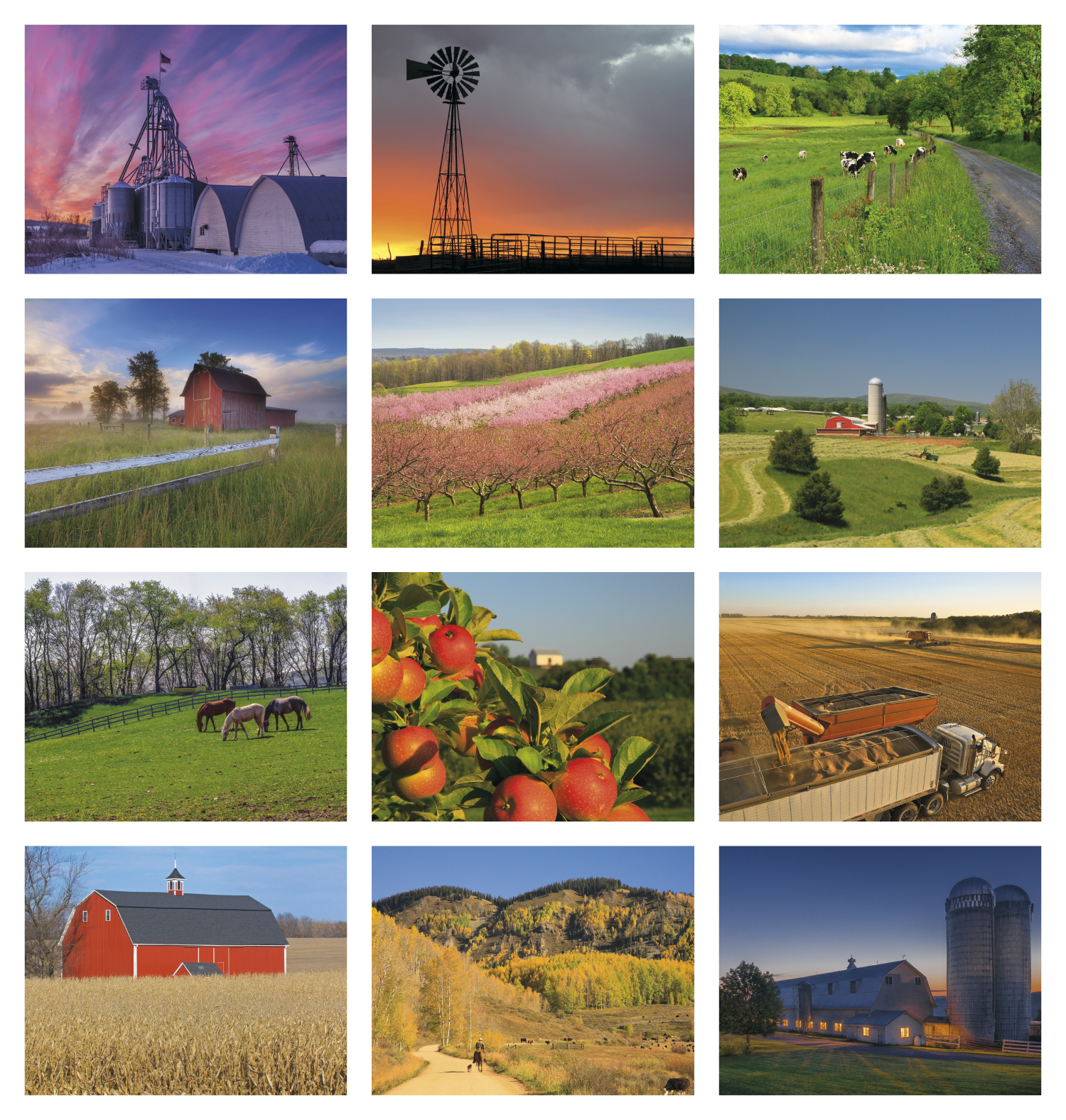 HotLine® Products America's Bounty Appointment Calendar - Stapled 15