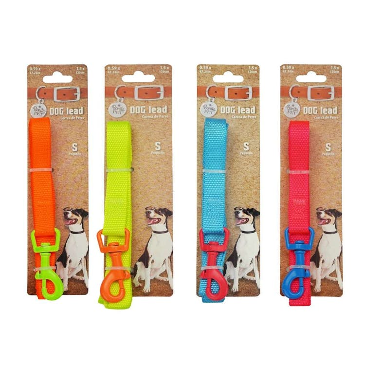 Dog Leashes - Neon Small 2