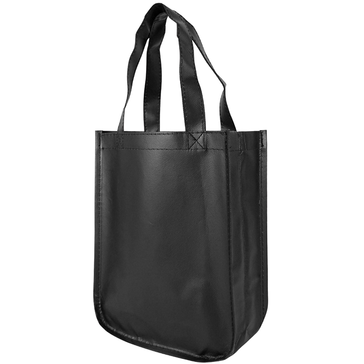 Sundale Small Matte Laminated Tote Bag 26