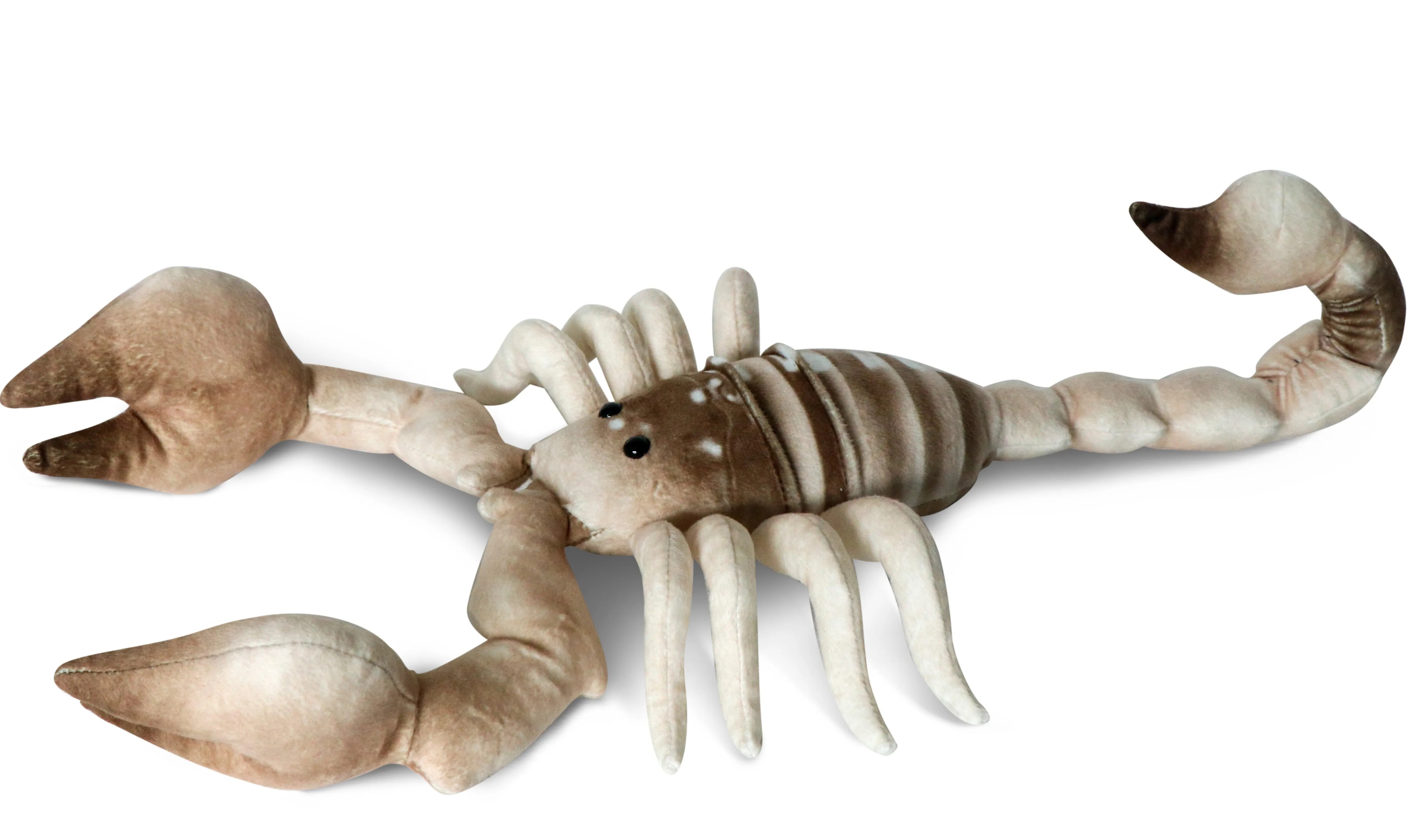 Beige Scorpion 2