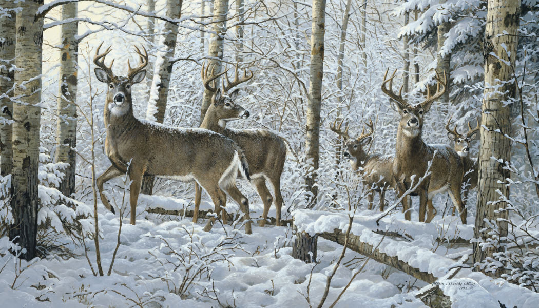 Triumph® Calendars Wildlife Art Calendar 13