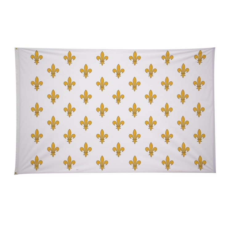 5' x 8' Historical Flags 32