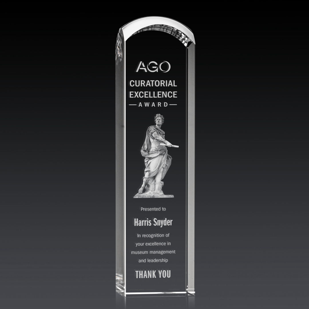 Silkwood 3D Award 5