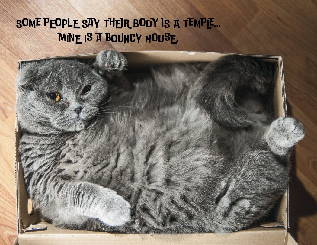Good Value™ Pets with Attitude - Stapled Calendar 60