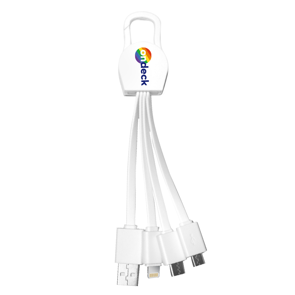 Leyden 4 in1 Charging Cables w/ USB tip