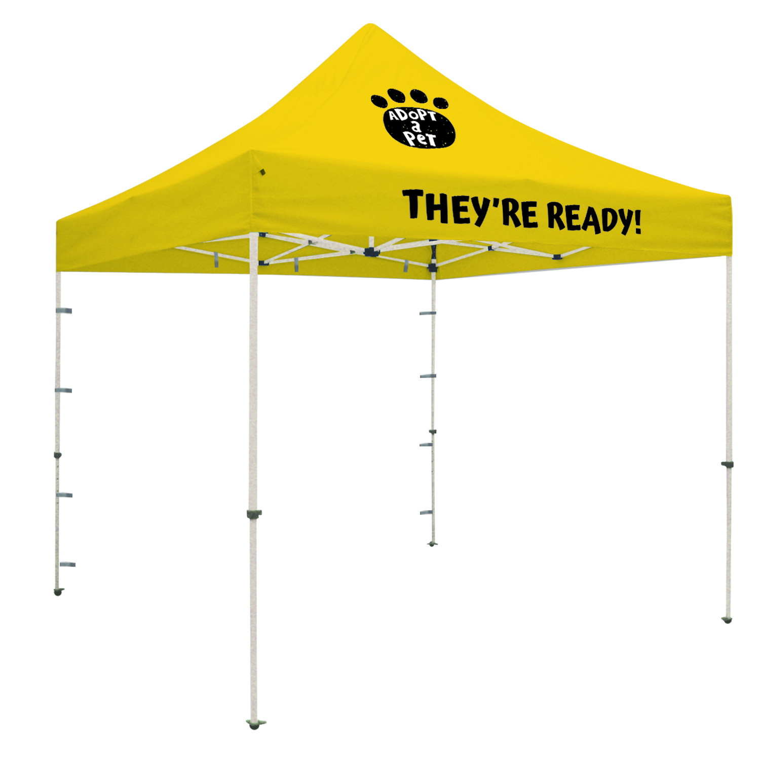 Market Fest Total Show Package 5