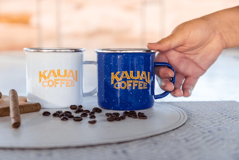 Sedona 16oz Enamel Mug 56
