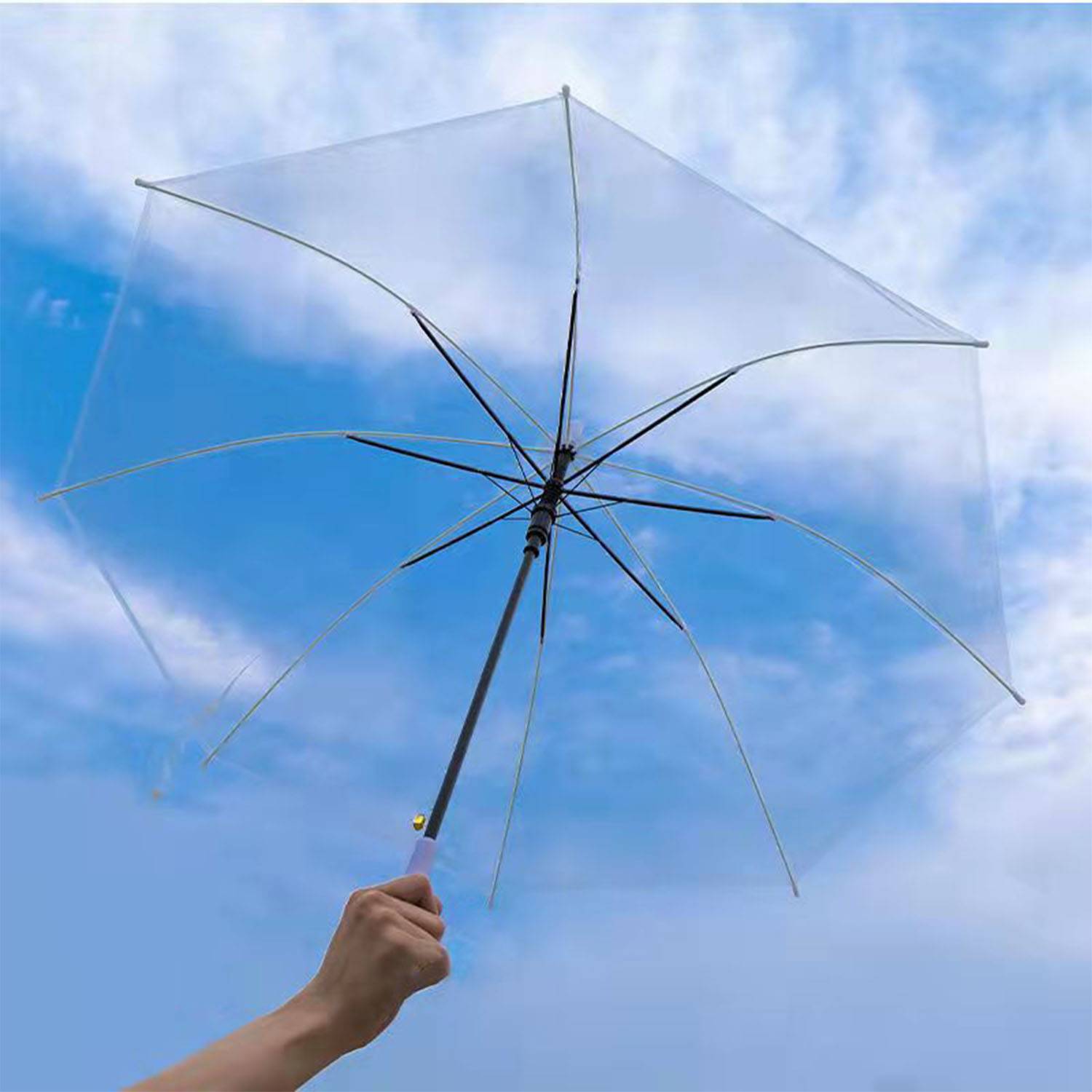Clear Umbrella 3