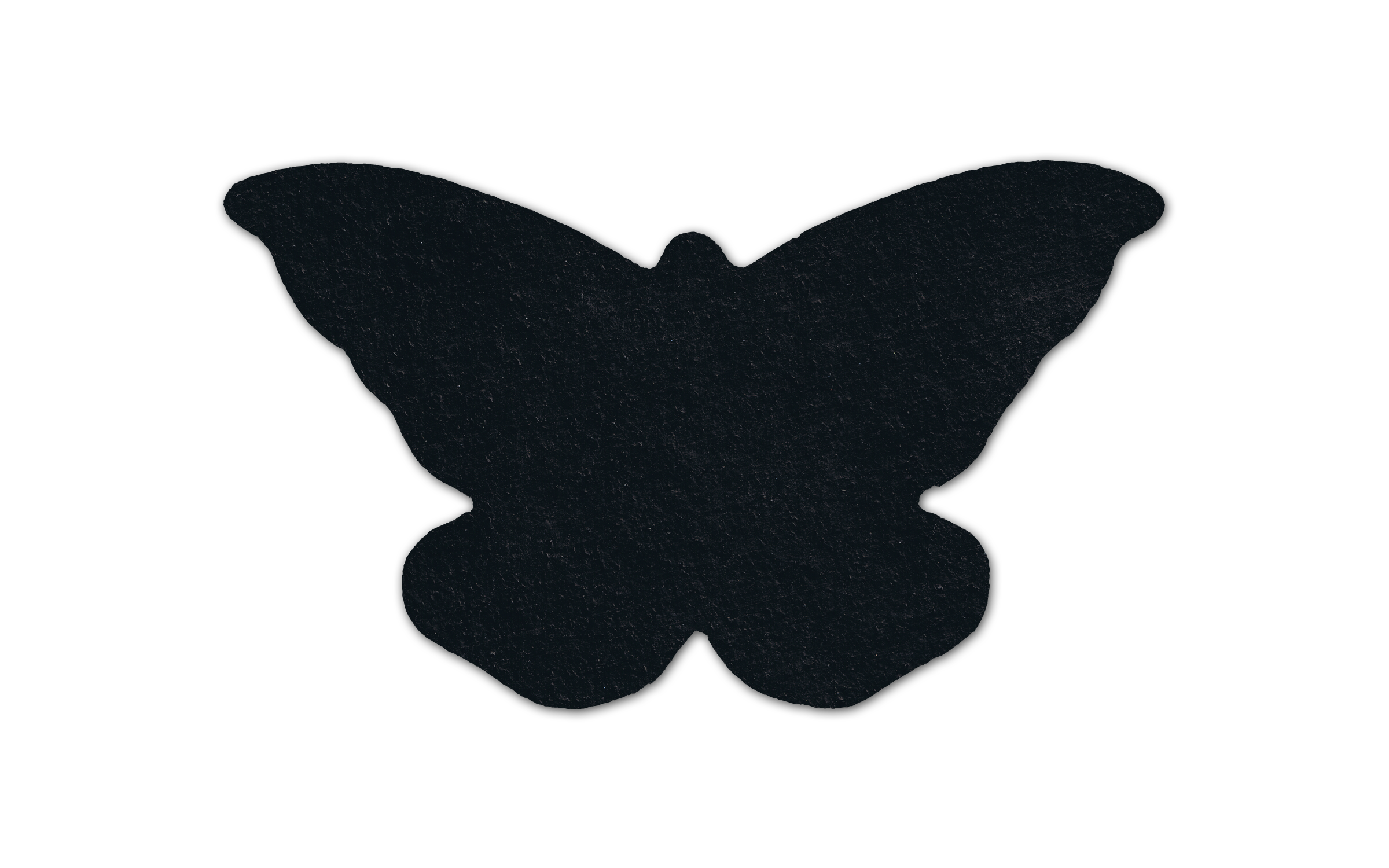 Butterfly Flat Tire Coaster 4BT 2