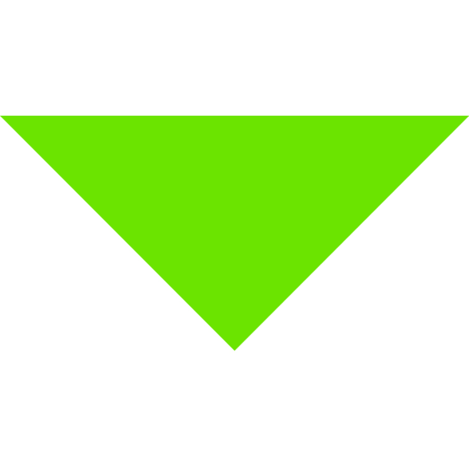 Small Triangle Pet Bandana w/ Screen Print 16