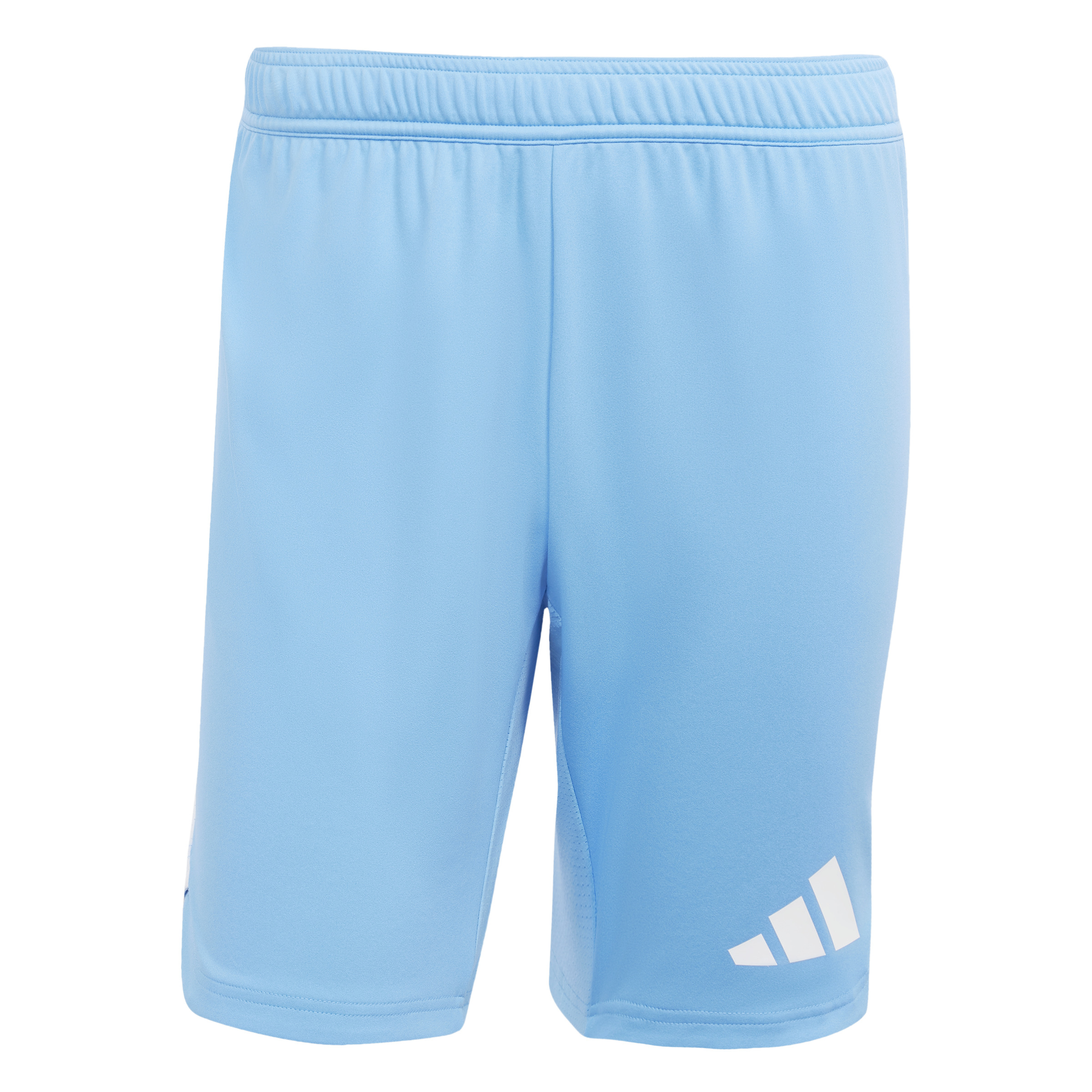 Tiro 25 Pro Goalkeeper Shorts 2