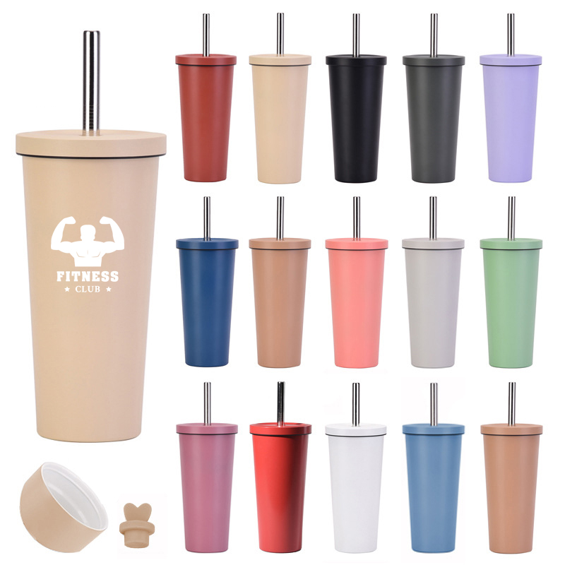 Double Wall Straw Insulated Stainless Steel Tumbler with Lid 2