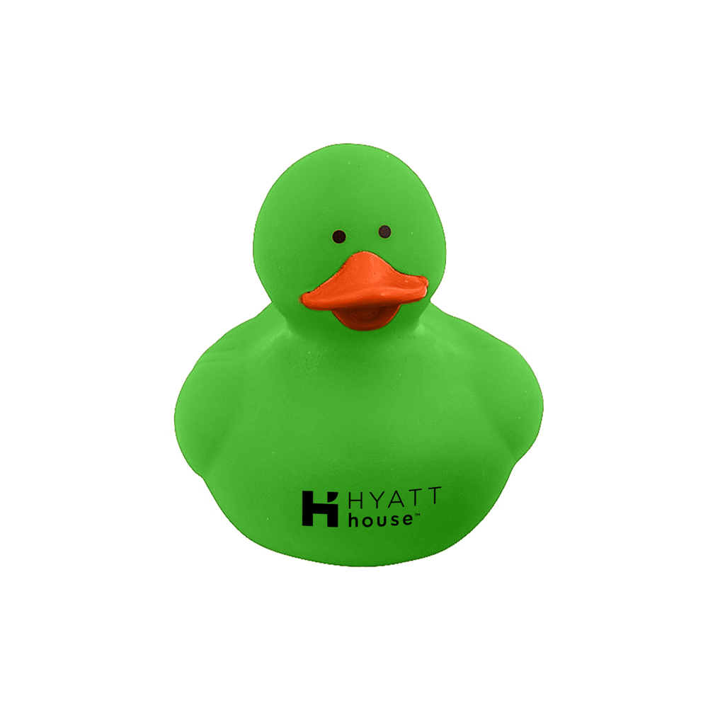 Colorful Duck 12