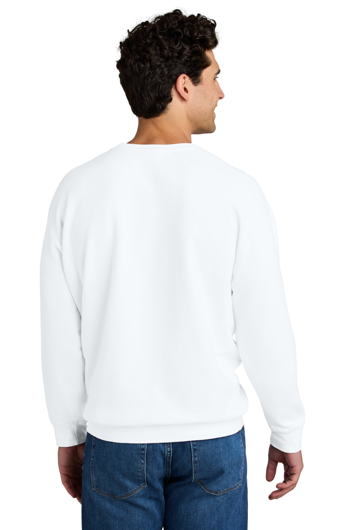 Comfort Colors Lightweight Crewneck Sweatshirt 1466 49