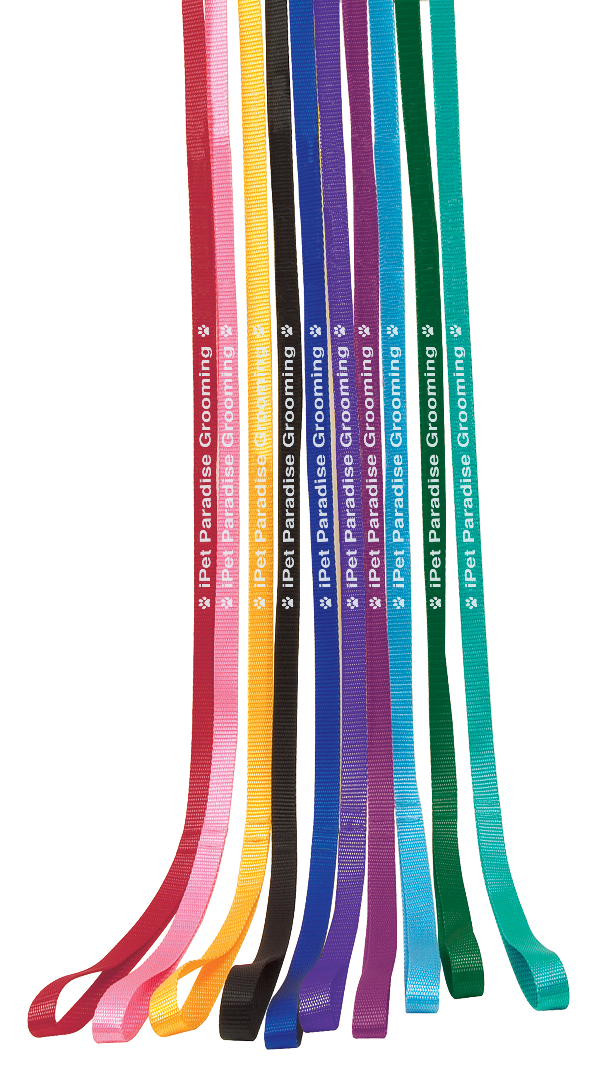 4' Personalized 1-Sided Pet Leads
