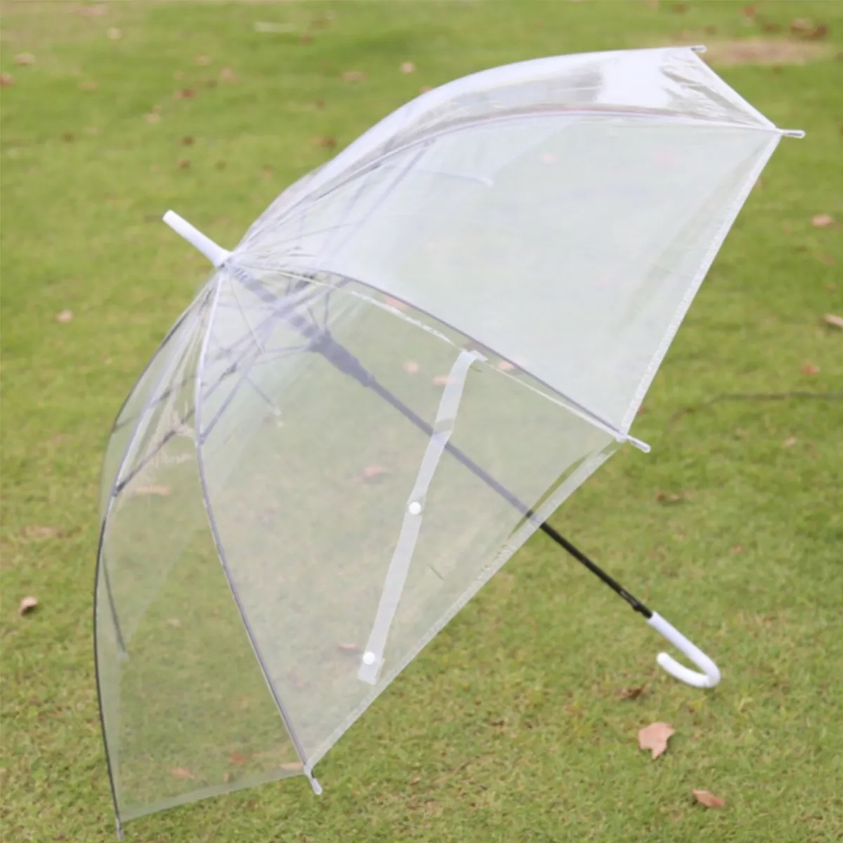Transparent Umbrella 3