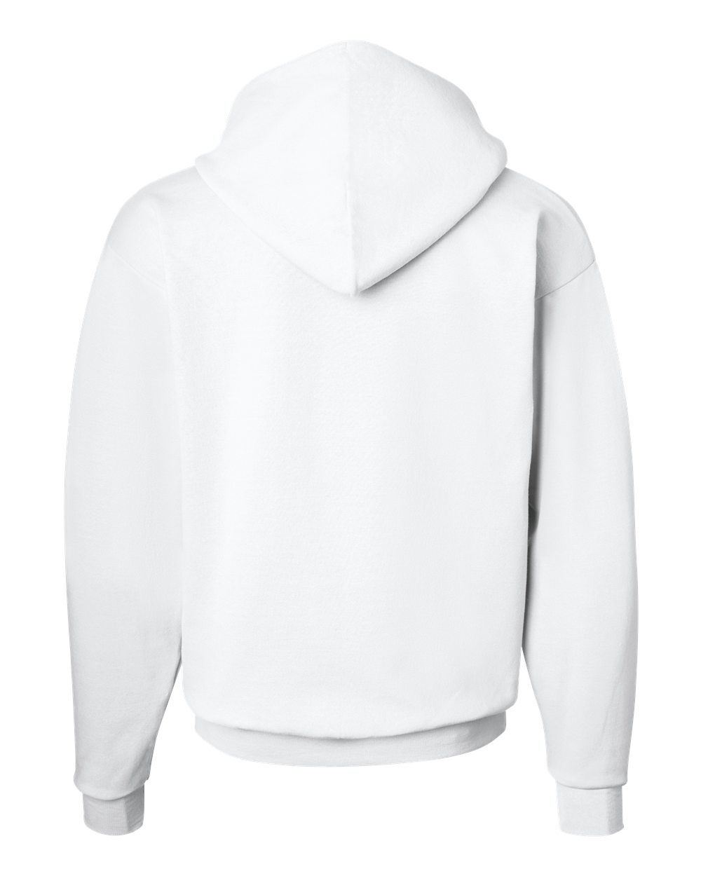 Unisex EcoSmart® Hooded Sweatshirt - P170 361