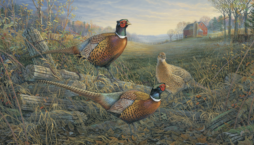 Triumph® Calendars Wildlife Art Calendar 7