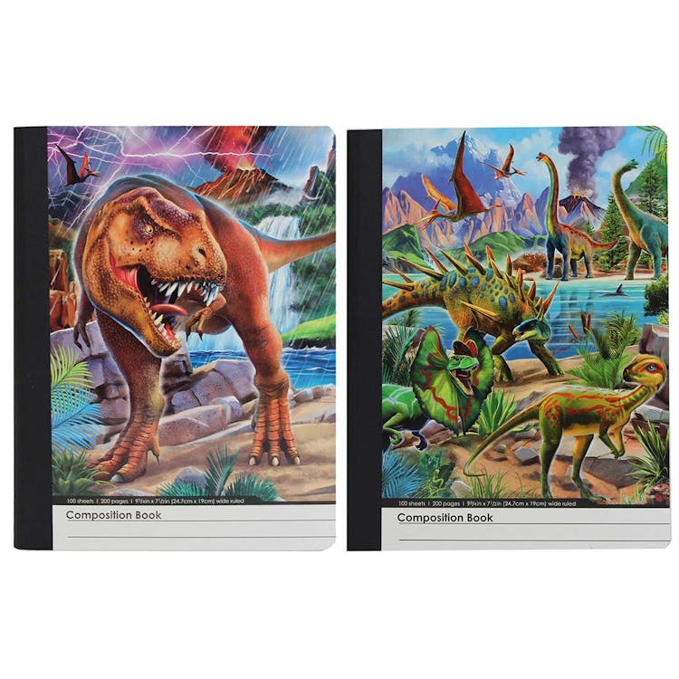 Dinosaurs Composition Notebooks - Assorted 2
