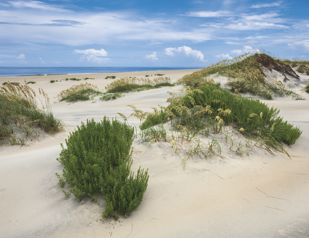 HotLine® Products Our Country® Executive Calendar 12