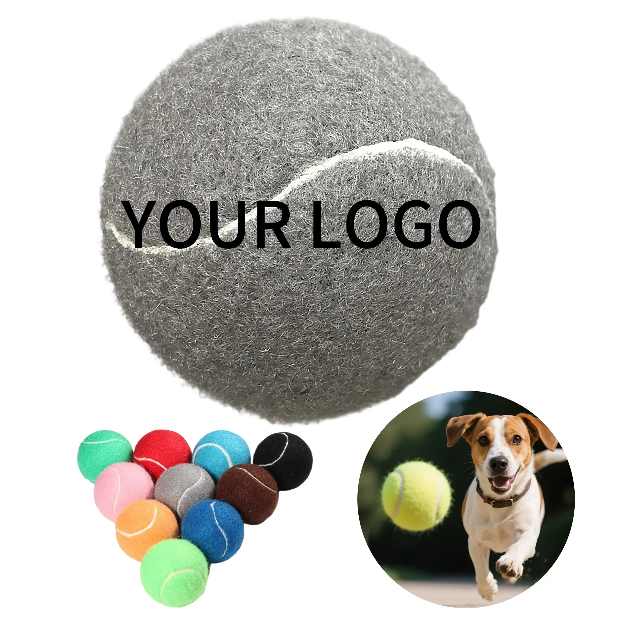 Dog Training Ball 2
