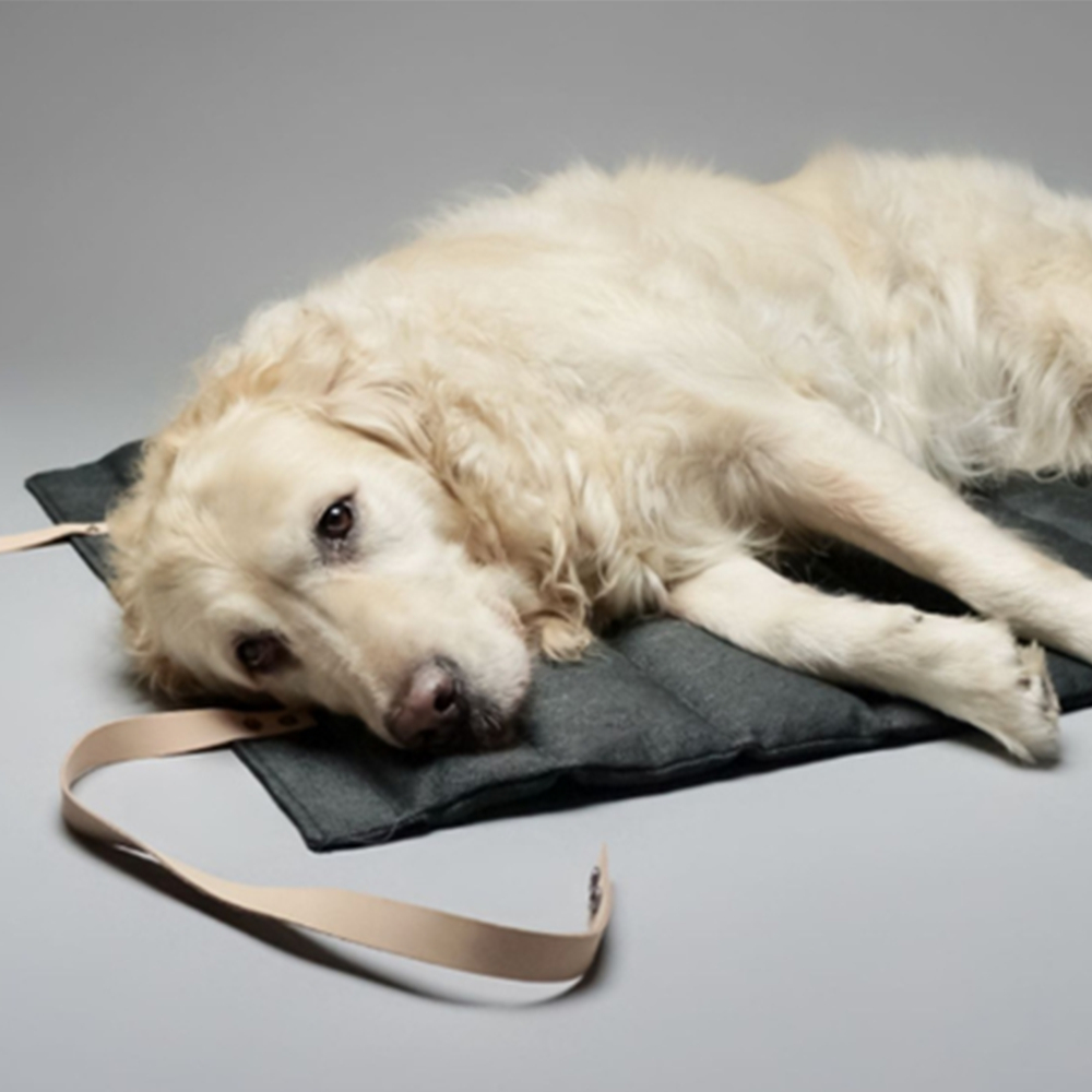 Pet Cooling Mat Dog Mat Pad 5