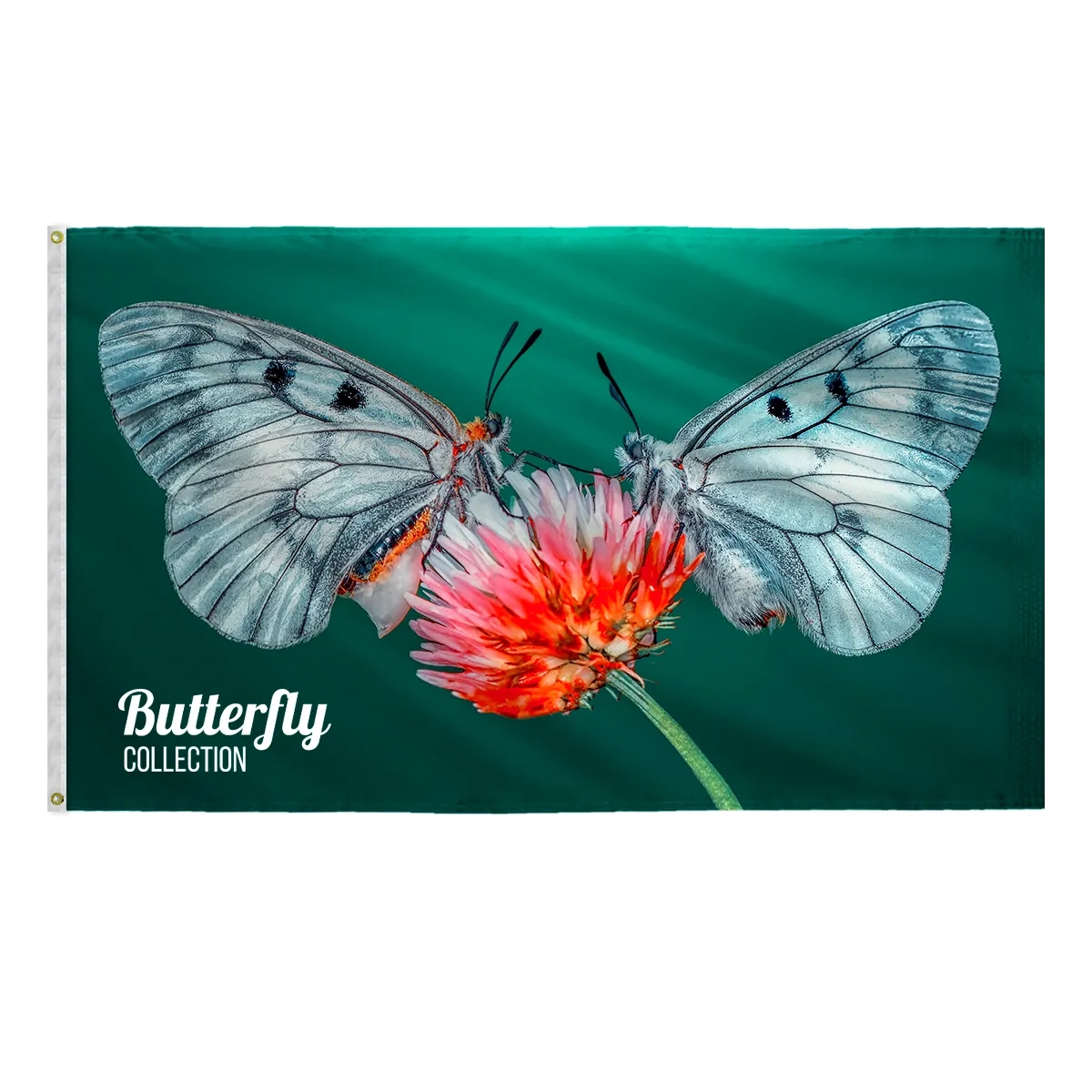 Custom Digital Print Flag 6' x 10' Nylon 2