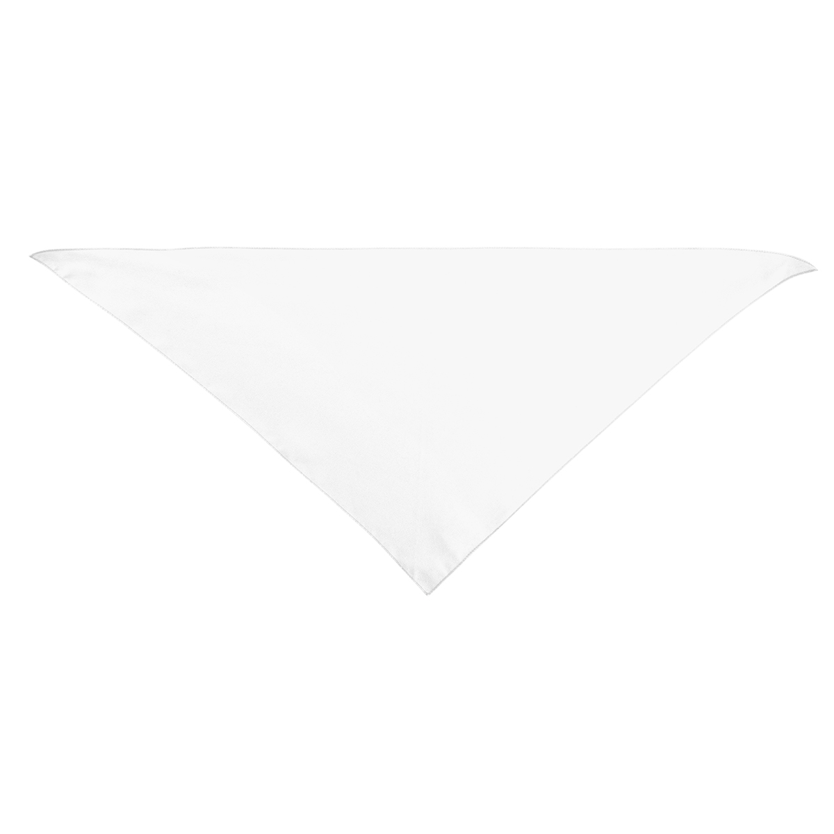 Large Triangle rPET Pet Bandana 1