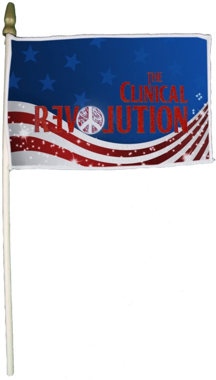 18 in. x 12 in. Custom Hand Held Flag