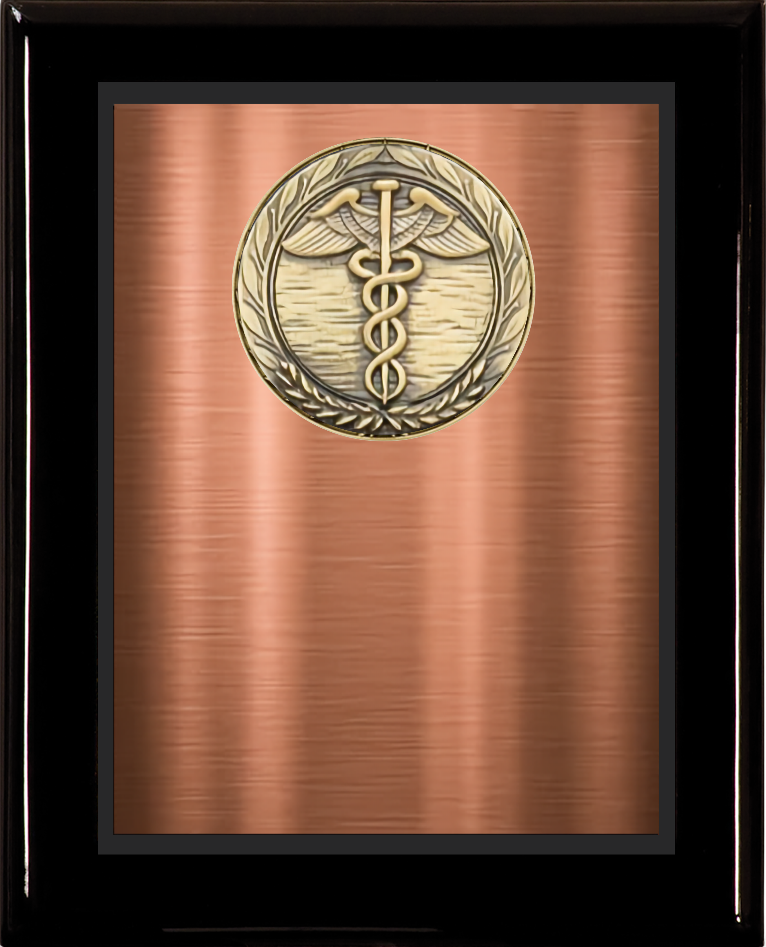 Black Piano Finish Wood Plaque w/Double Plate and Medallion 10