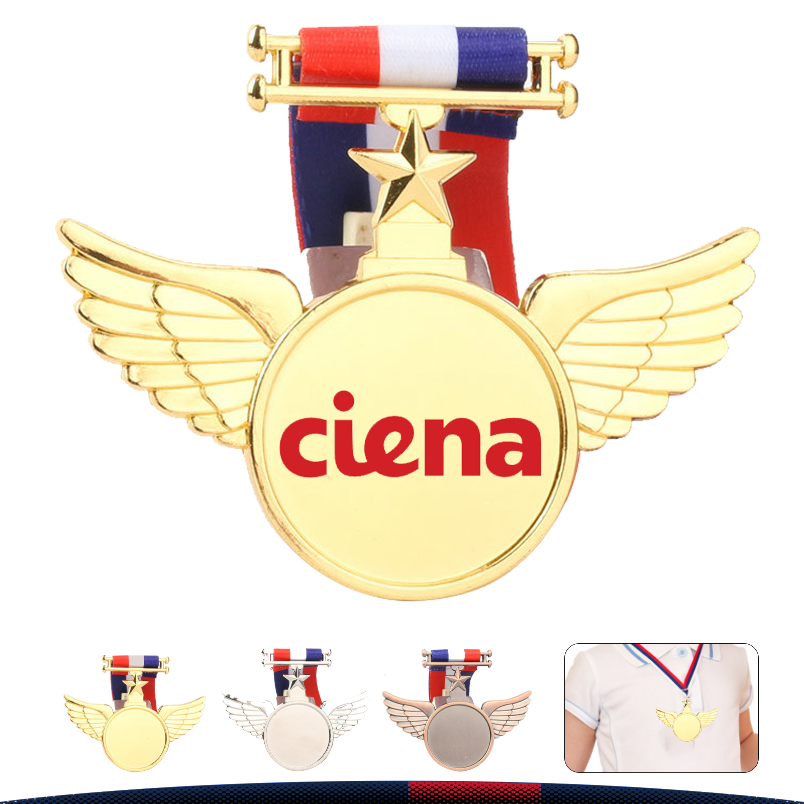 Wings Award Medals 2