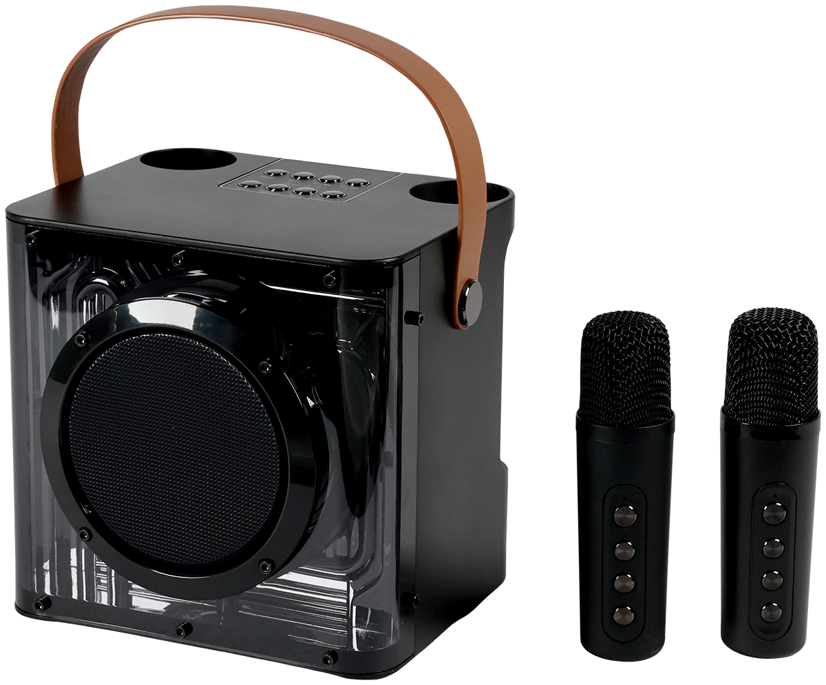 15W Karaoke Wireless Speaker with 2 Mics 12