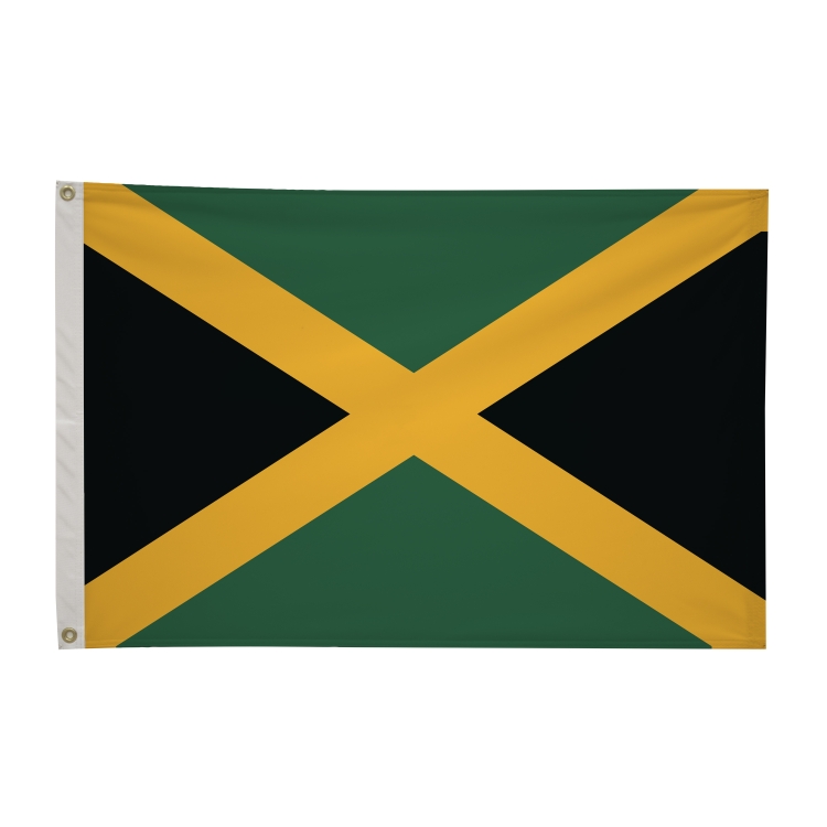 2' x 3'International Flag 91