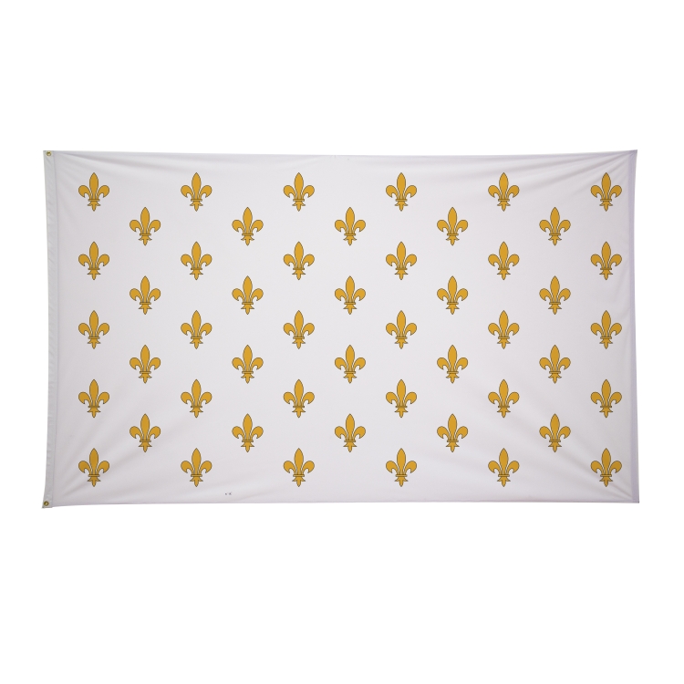 6' x 10' Historical Flags 4