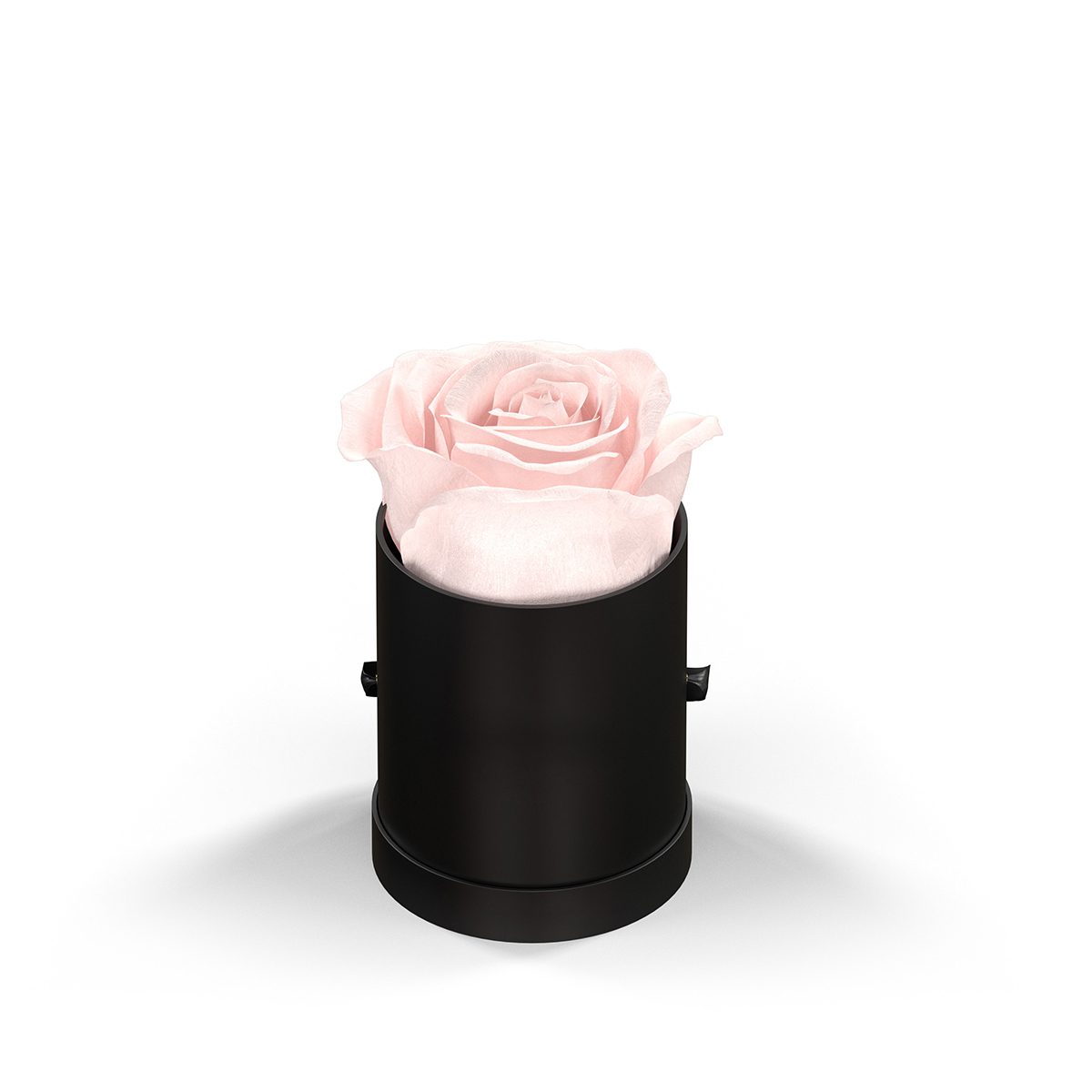 Classique by VeF Le Mini™ Round 22