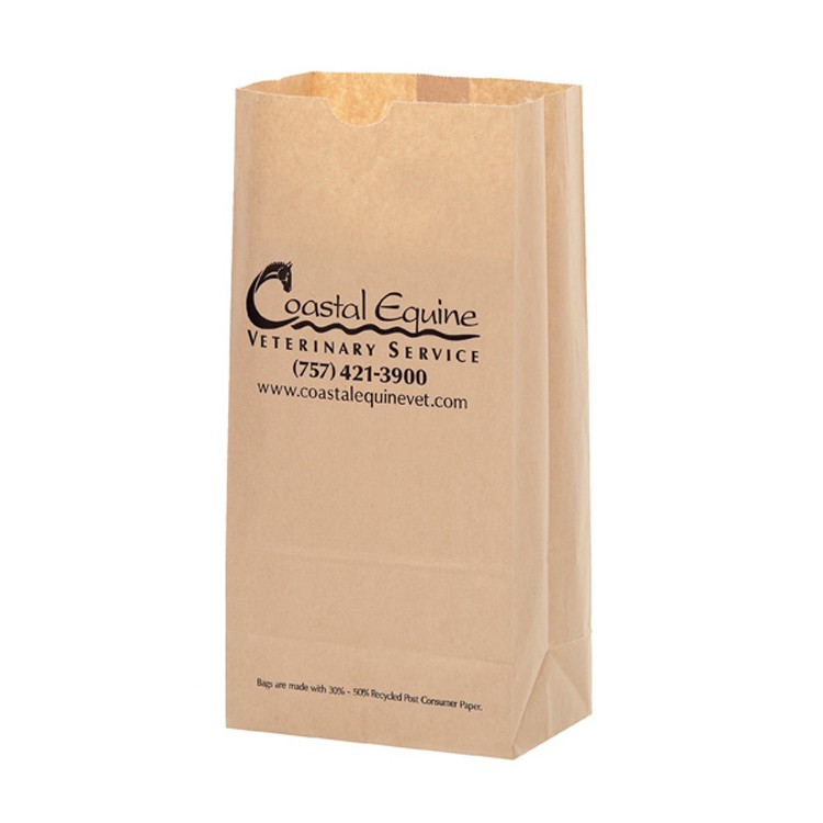 Grocery Bag - Natural Kraft 8# SOS 2