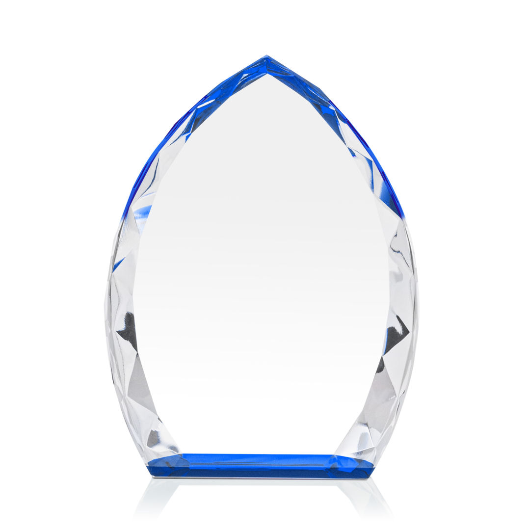 Wilton Award - Blue 5