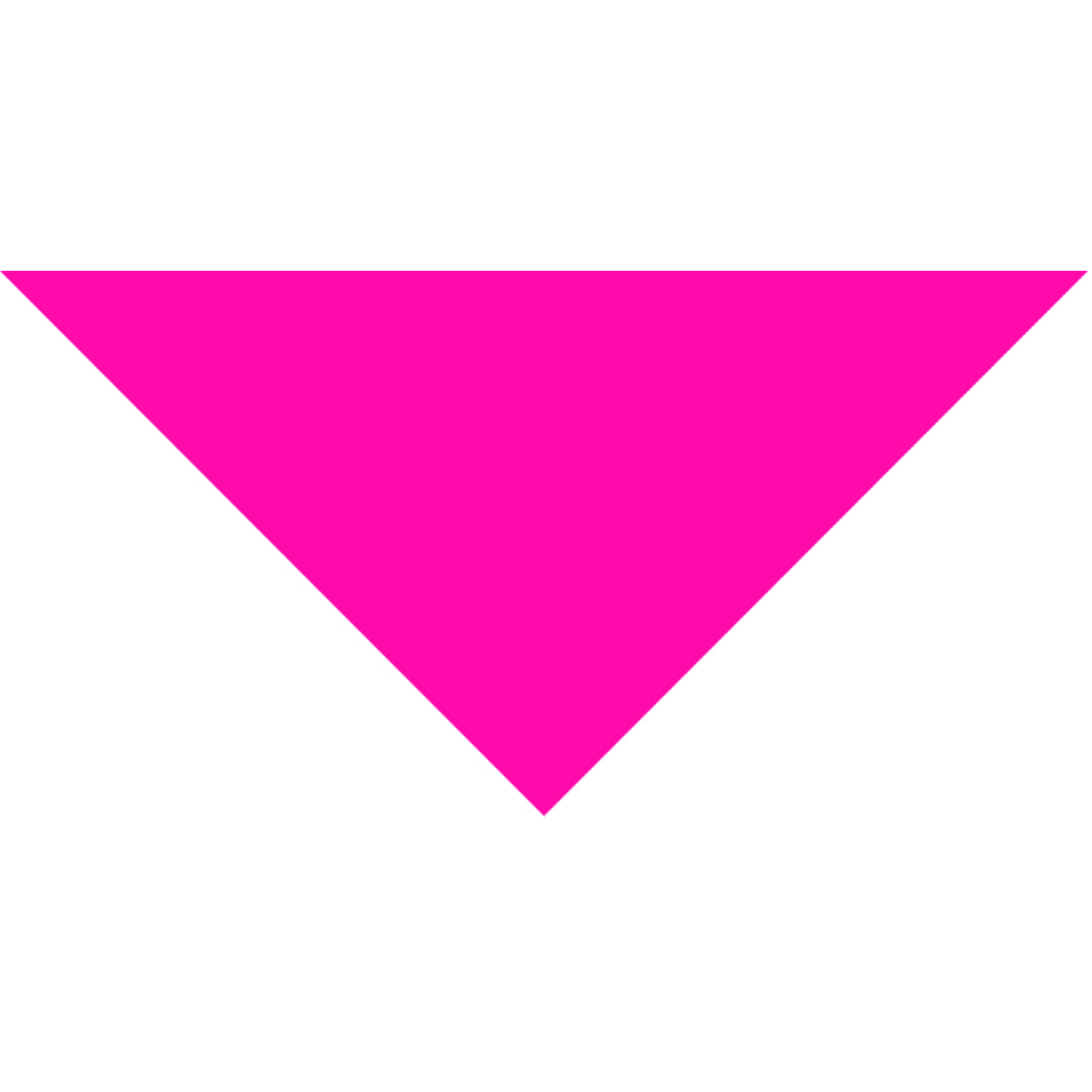 Domestic Pet Bandanna 66