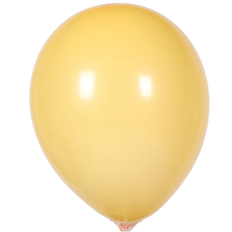 10 Inch Latex Balloon 49
