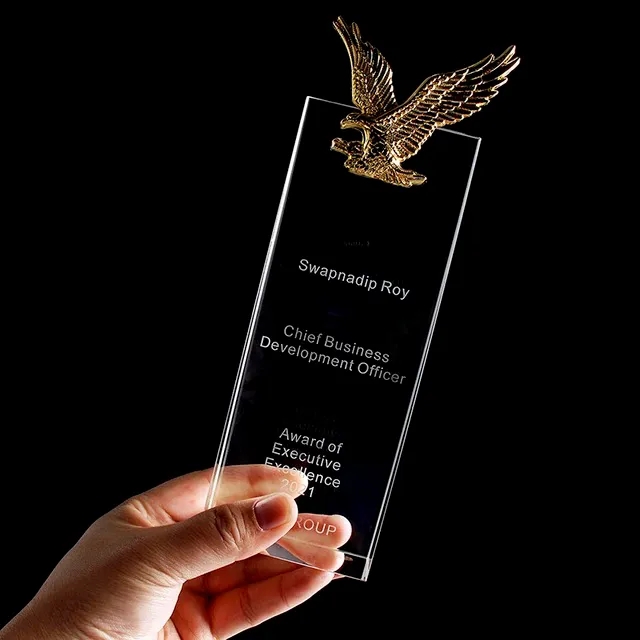 Optic Eagle Rectangle Award 2
