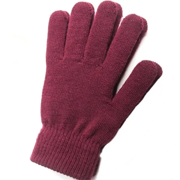 Winter Thickened Plush Warm Gloves 2
