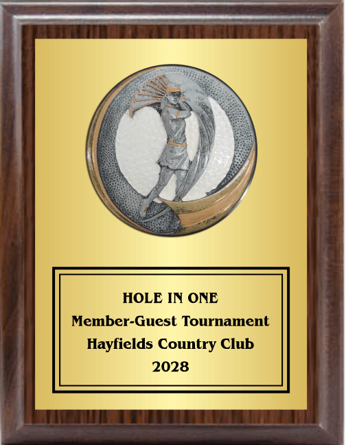 7"X9" Plaque With Full Plate And Golf Swing Plaque Mount 8
