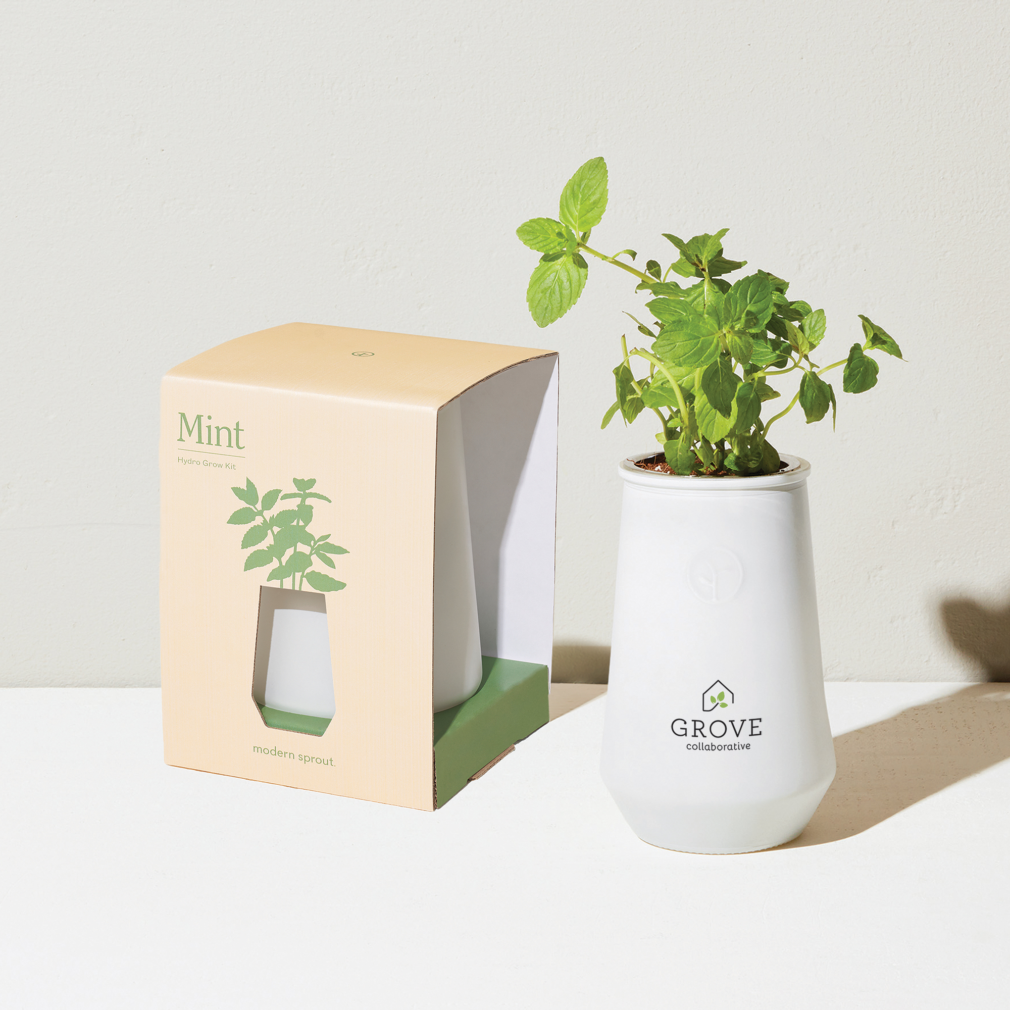 Modern Sprout® Tapered Tumbler Grow Kit 10