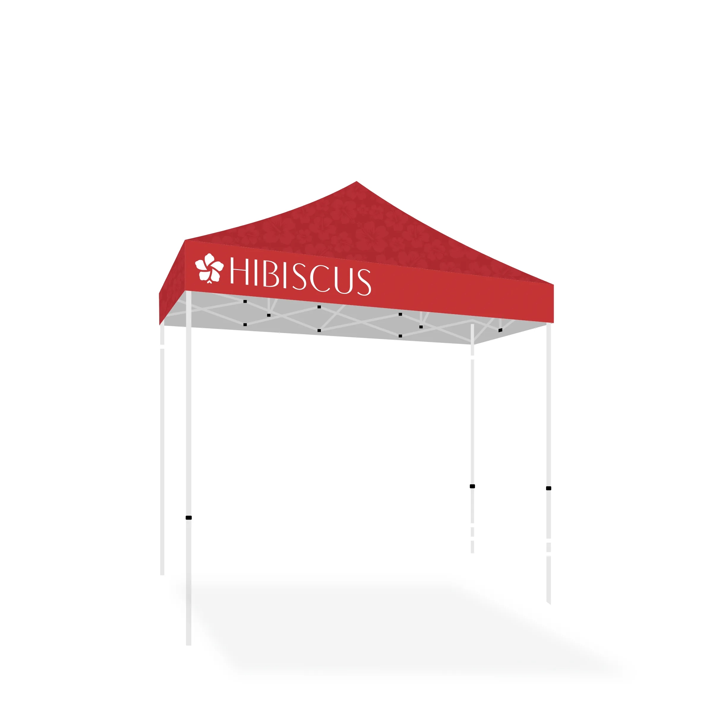 10' X 10' Tent w/ Full Color Canopy 10