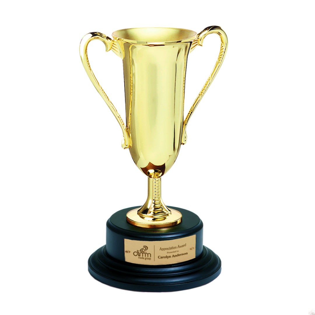 Gold Loving Cup Award 2