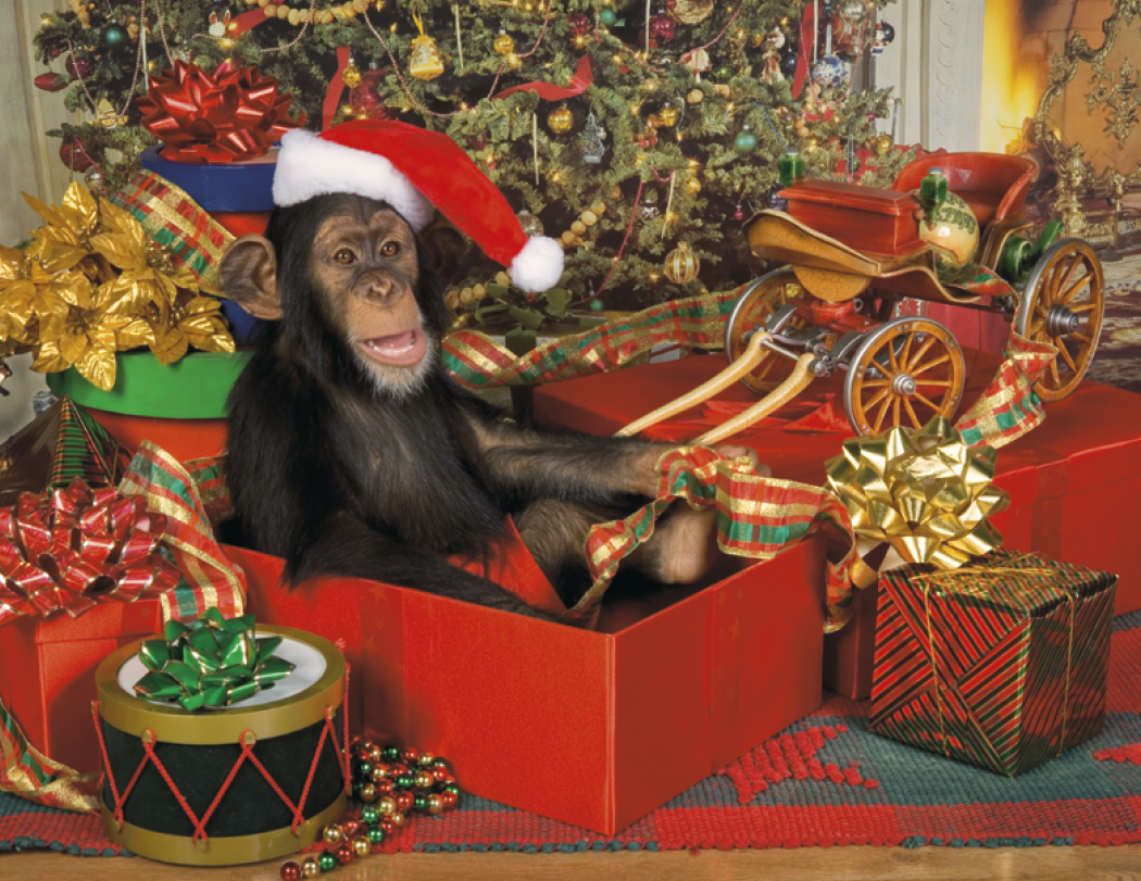 Triumph® Calendars Monkey Business Calendar 76