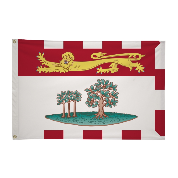 2' x 3'International Flag 164