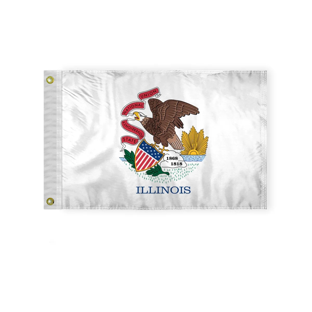 12"x18" to  8'x12'  Illinois Nylon Flags 2