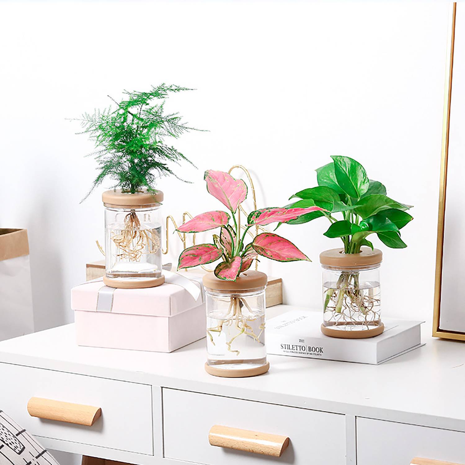Transparent Plastic Hydroponic Planter 3